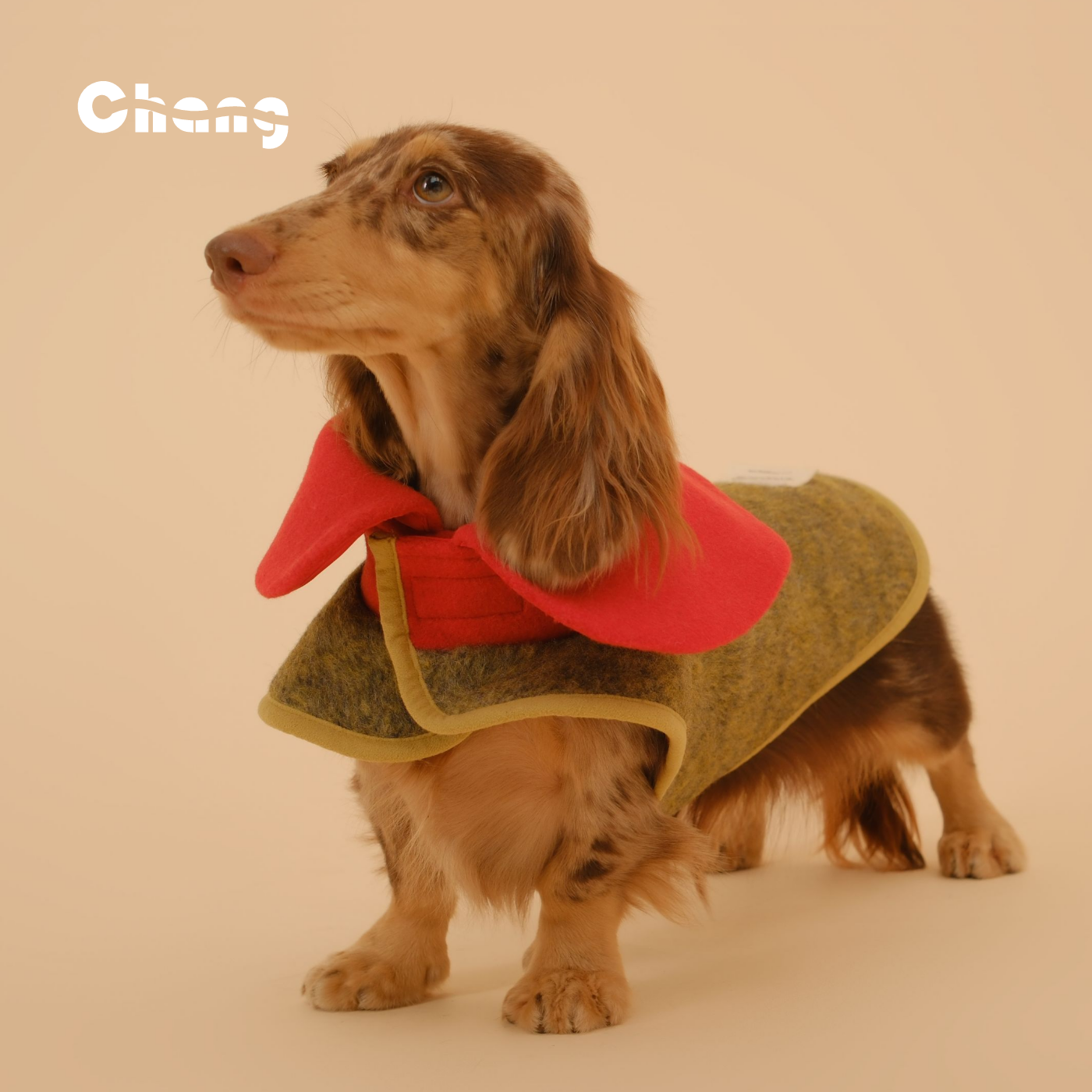 Dachshund Clothes | GREENHOUSE FLORAL WOOL COAT