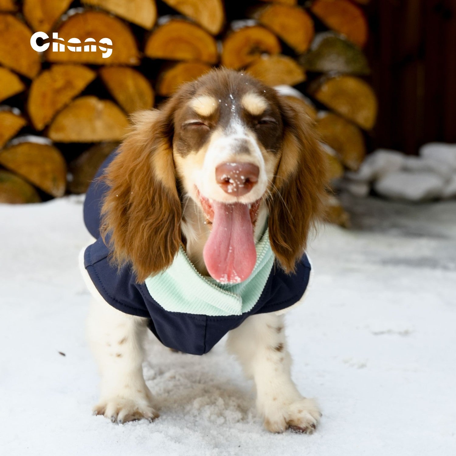 "Go Far" Outdoor Hoodie | Dachshund Hoodie | Chang 2025AW Dachshund Clothes