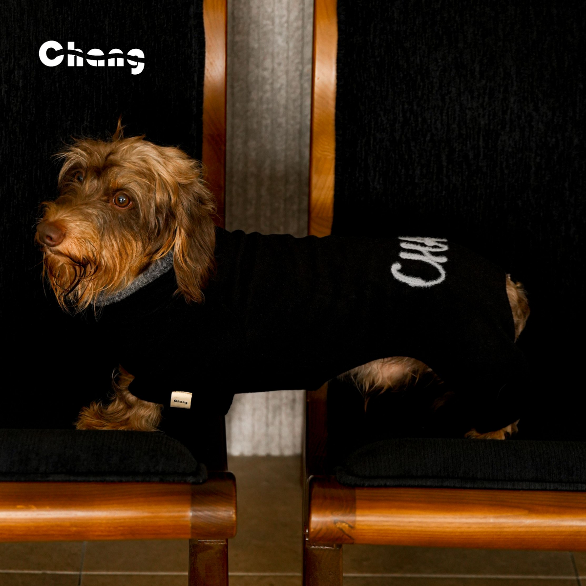 Silk Hand | Dachshund Base Layer