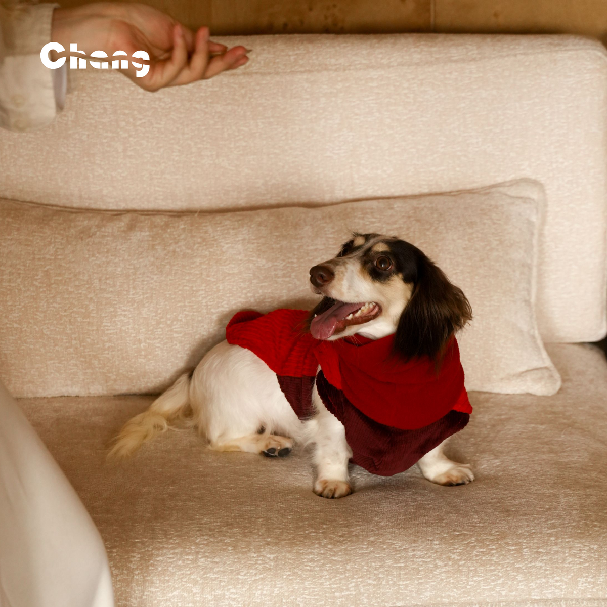 OUTDOOR WORKWEAR 2.0 | Dachshund HOODIE