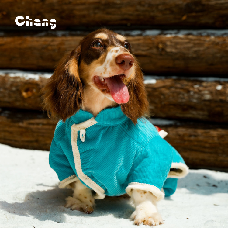 CLOUD HUNTER COAT | Dachshund Coat | Chang 2024AW