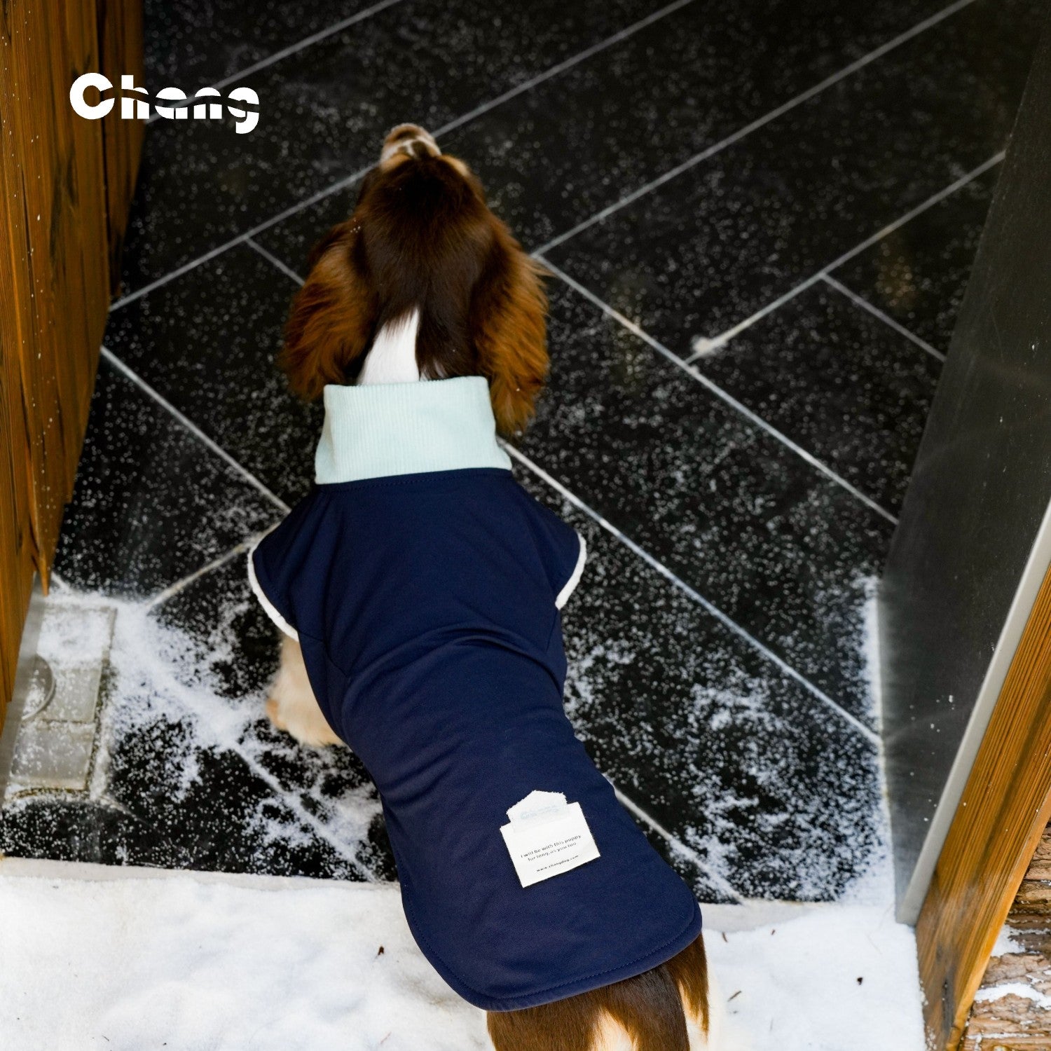 "Go Far" Outdoor Hoodie | Dachshund Hoodie | Chang 2025AW Dachshund Clothes