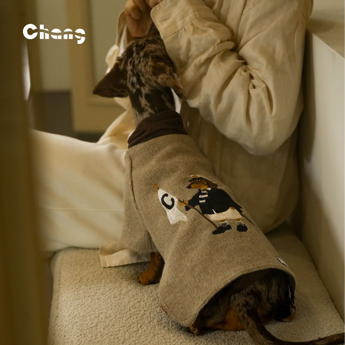 THE JIA BAOYU | Dachshund KINT