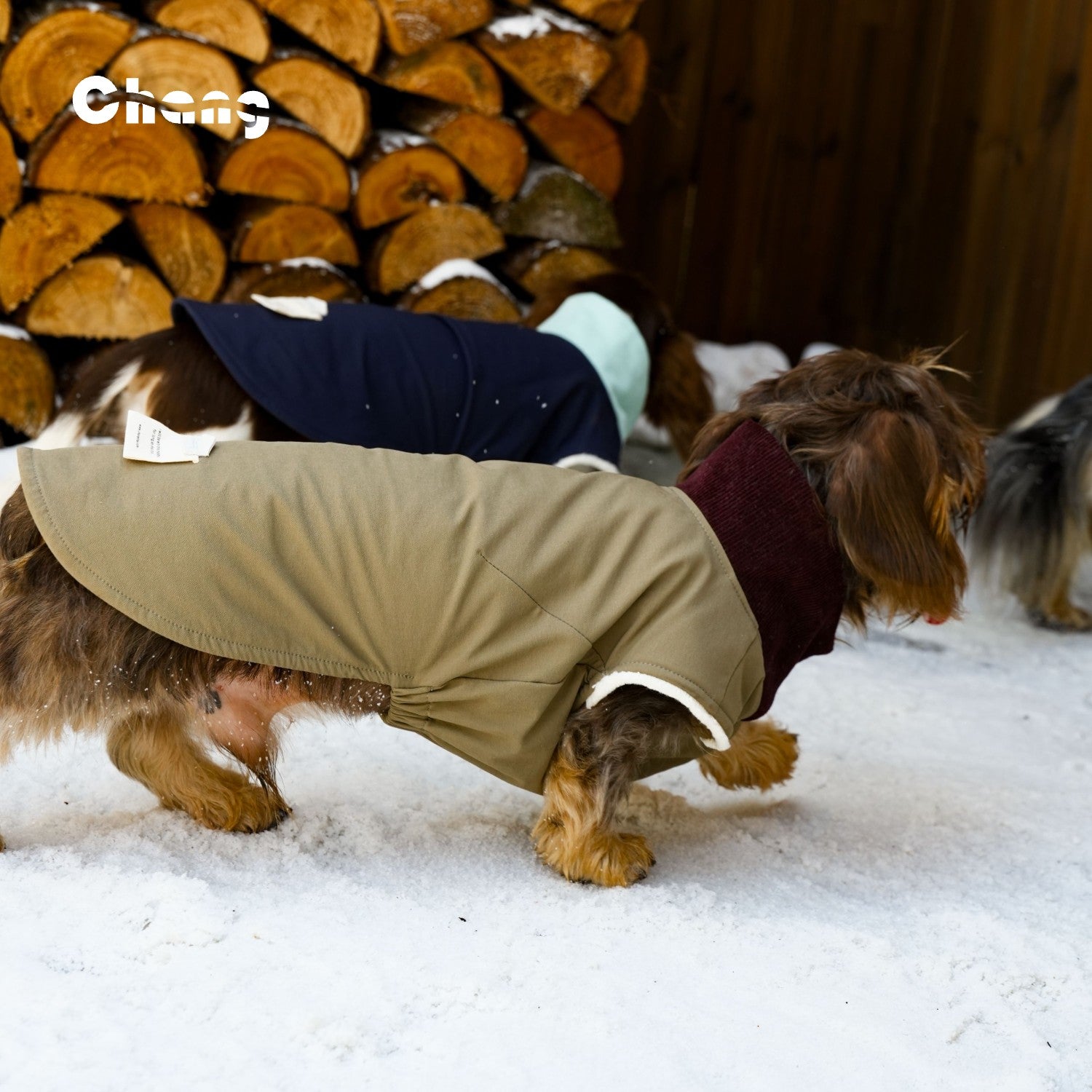 "Go Far" Outdoor Hoodie | Dachshund Hoodie | Chang 2025AW Dachshund Clothes