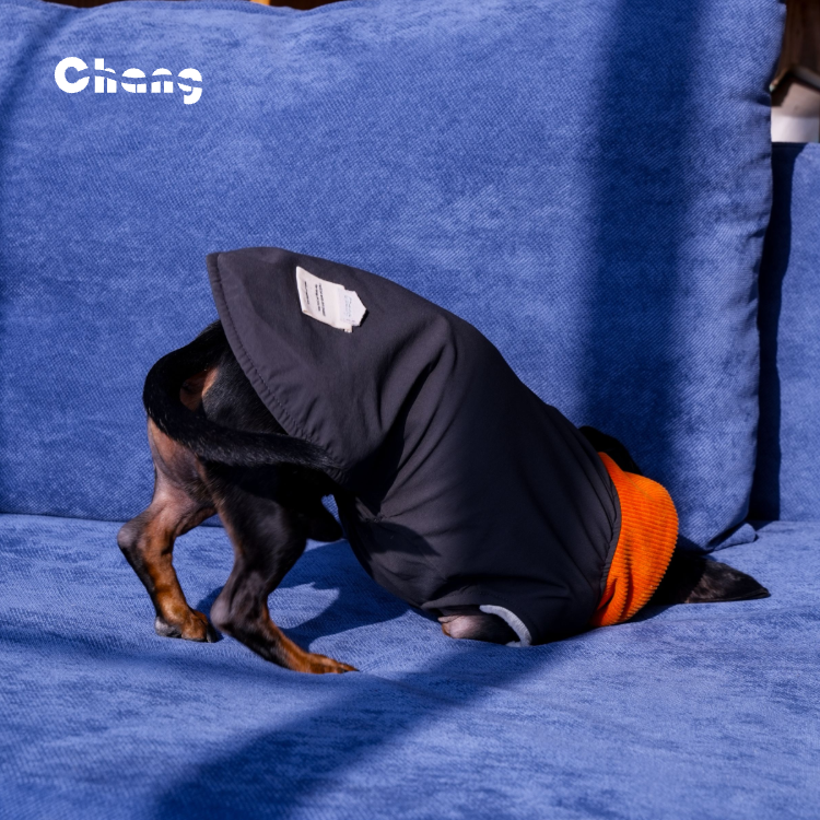 "MAPLE HILL" Outdoor Hoodie | Dachshund Hoodie | Chang 2025AW Dachshund Clothes
