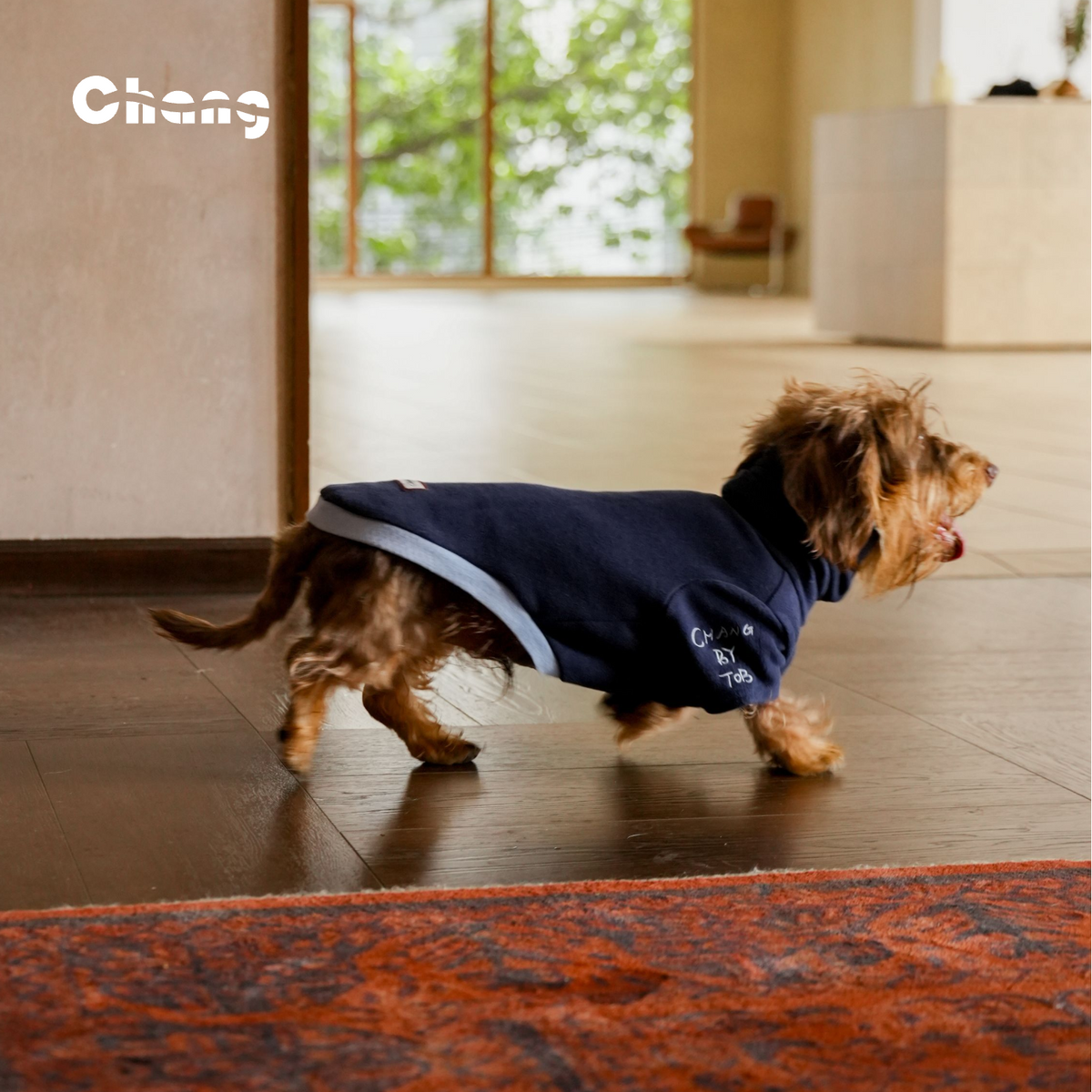"MOM'S HAND" 4.0 | Dachshund BASE LAYER