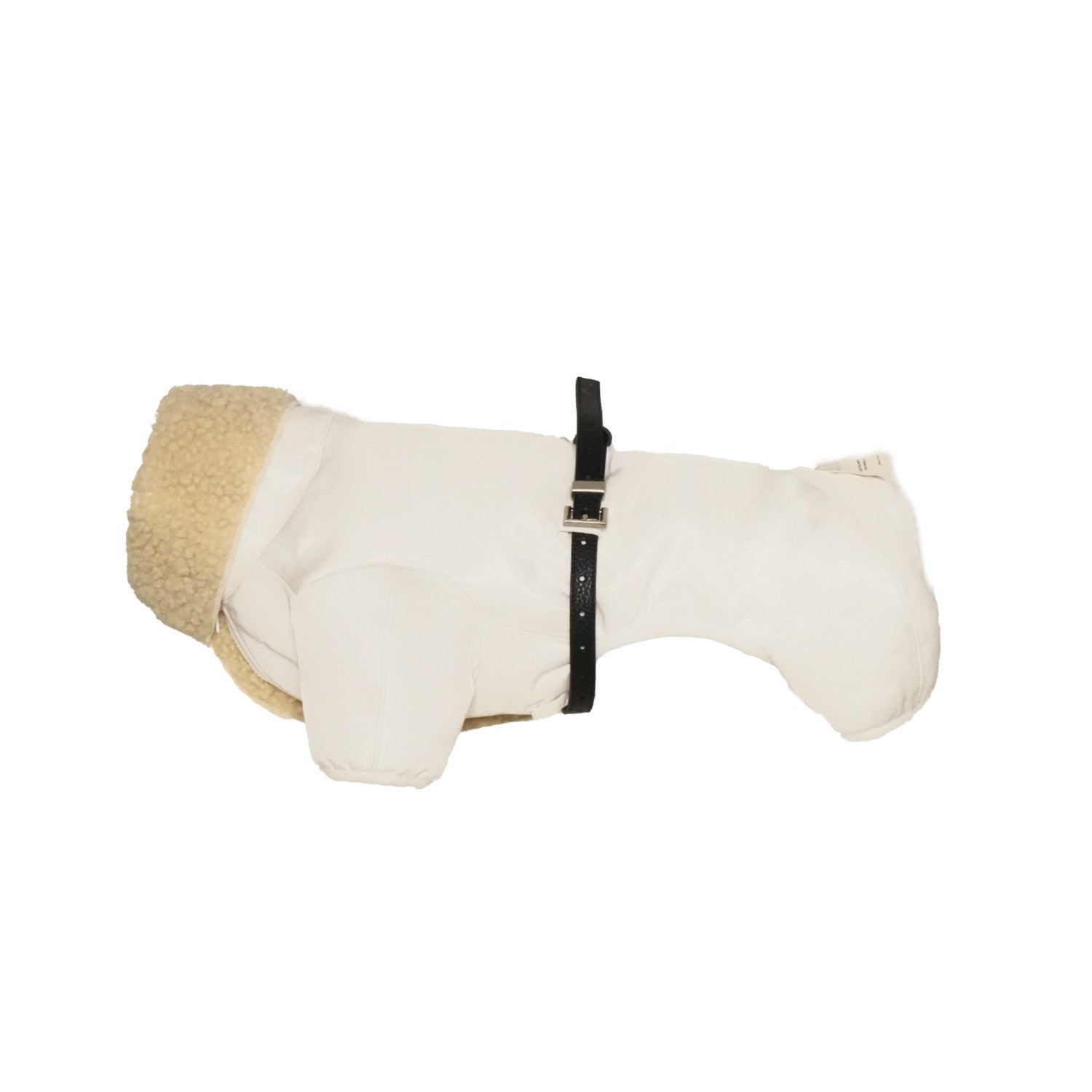 SNOW HUNTER COAT | Dachshund Coat | Chang 2024AW