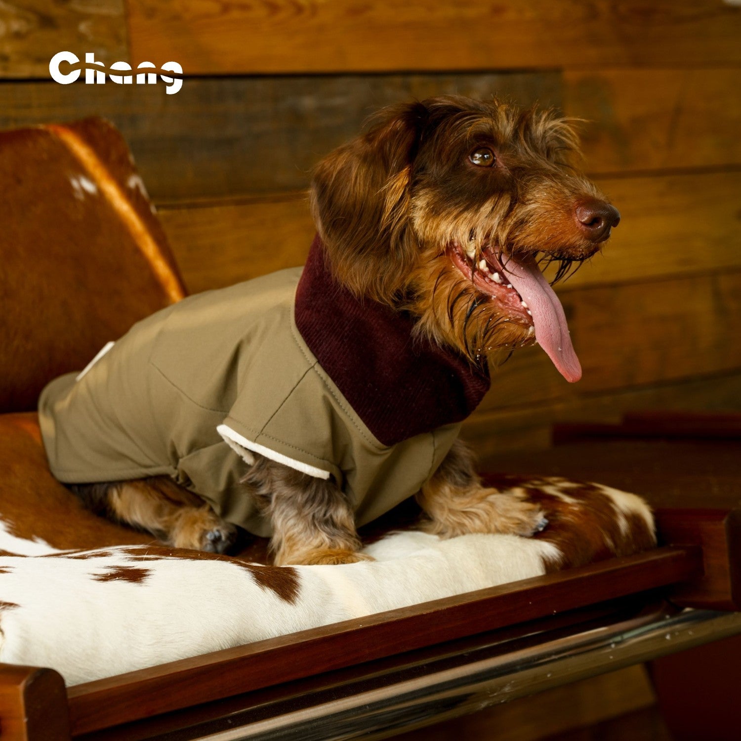 "Go Far" Outdoor Hoodie | Dachshund Hoodie | Chang 2025AW Dachshund Clothes