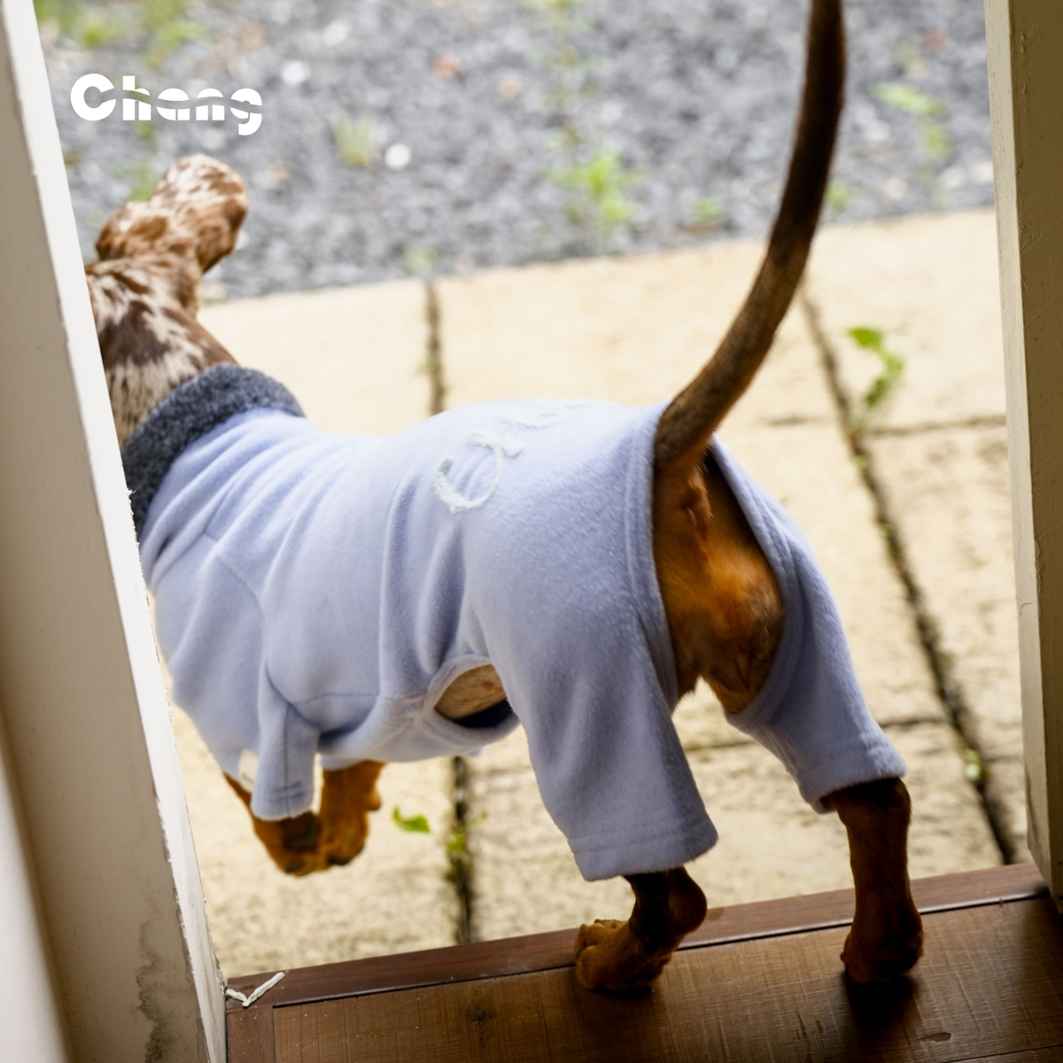 Silk Hand | Dachshund Base Layer