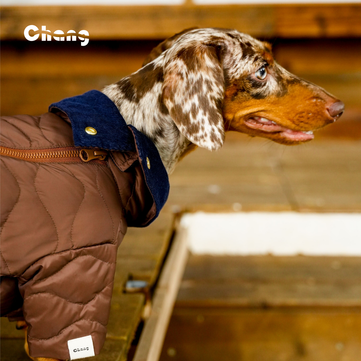 HEARTWOOD | Dachshund parka
