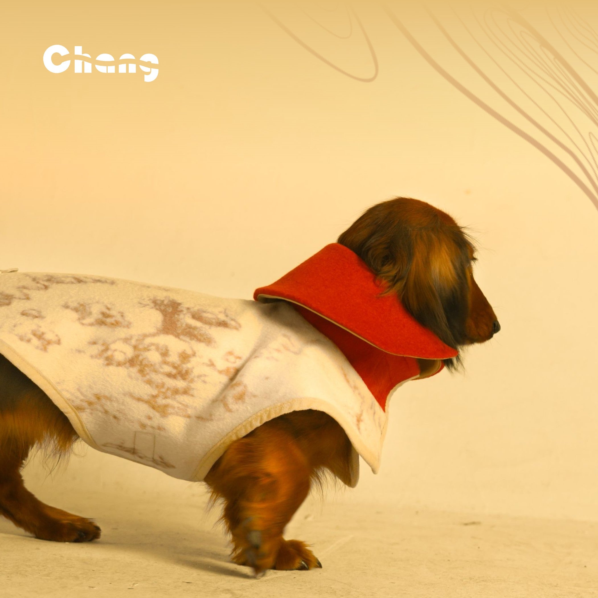 Dachshund-coat-greenhouse-floral-wool-coat-the-rising-sun