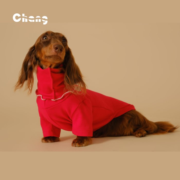 Dachshund Base Layer- Chang