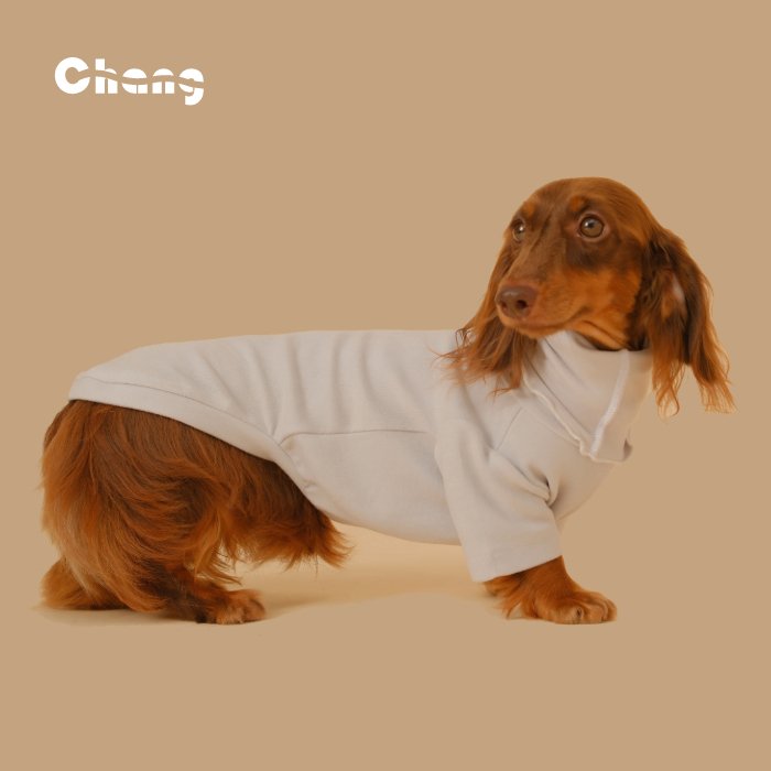 Dachshund Base Layer- Chang