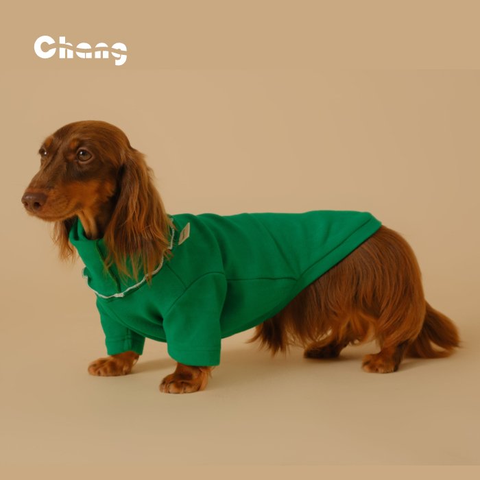 Dachshund Base Layer- Chang