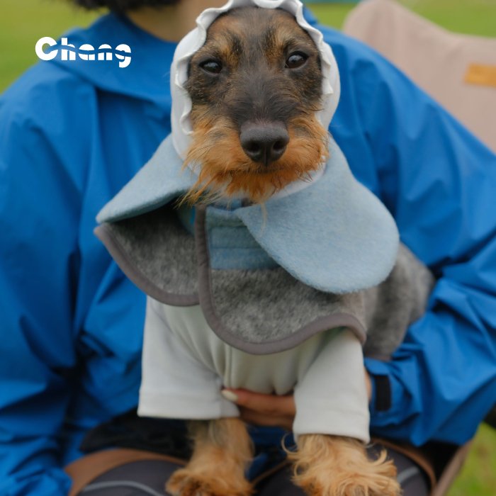 Dachshund Coat | GREENHOUSE FLORAL WOOL COAT - Chang
