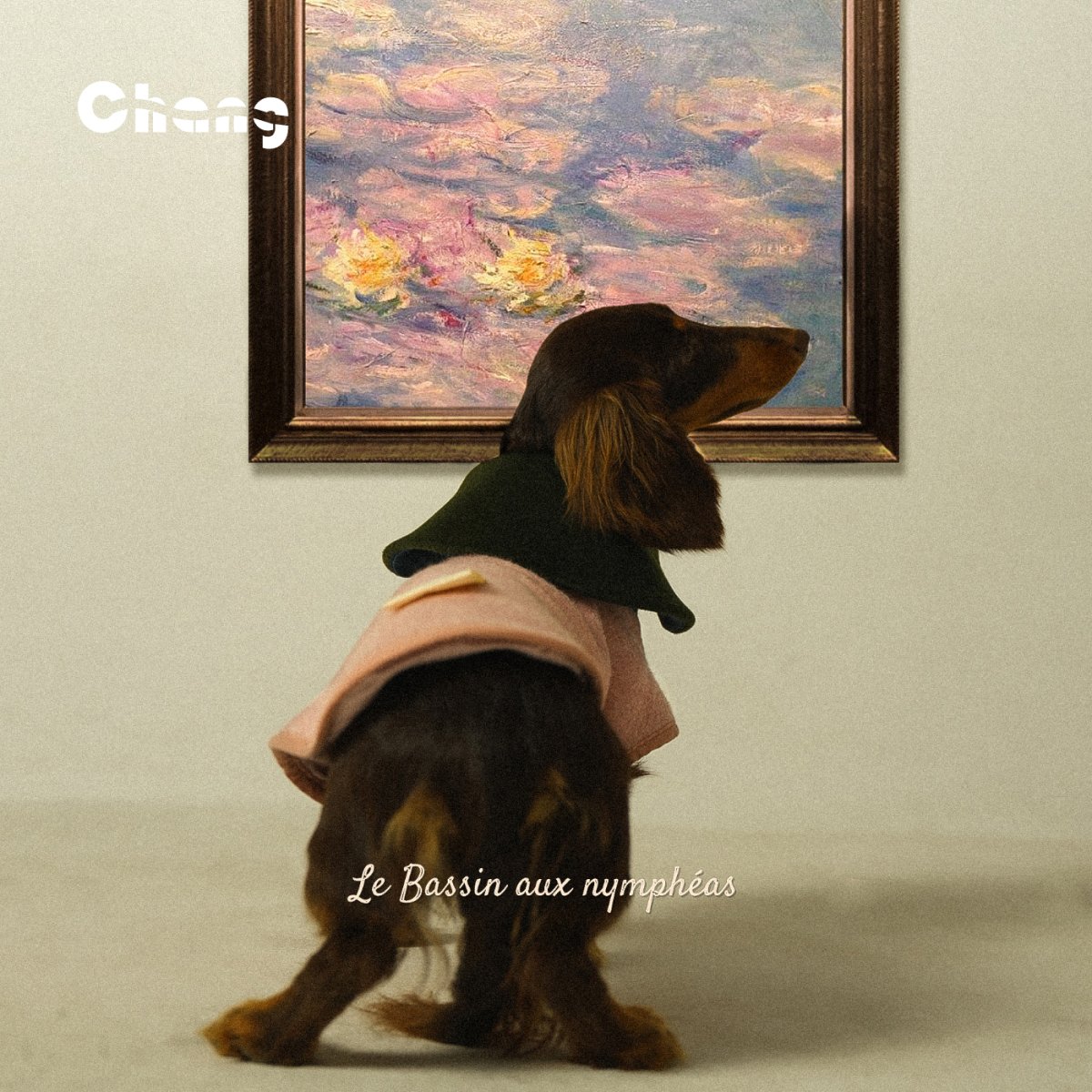 Dachshund Coat | GREENHOUSE FLORAL WOOL COAT - Le Bassin aux nymphéas - Chang