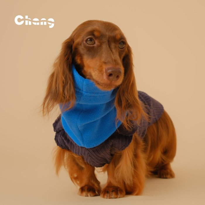 Dachshund Hoodie | OUTDOOR WORKWEAR HOODIE - Chang