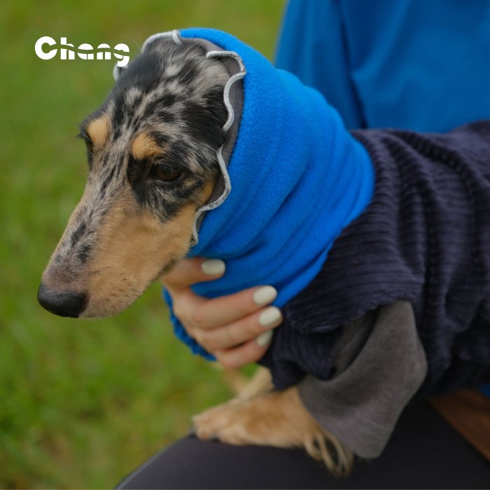 Dachshund Hoodie | OUTDOOR WORKWEAR HOODIE - Chang
