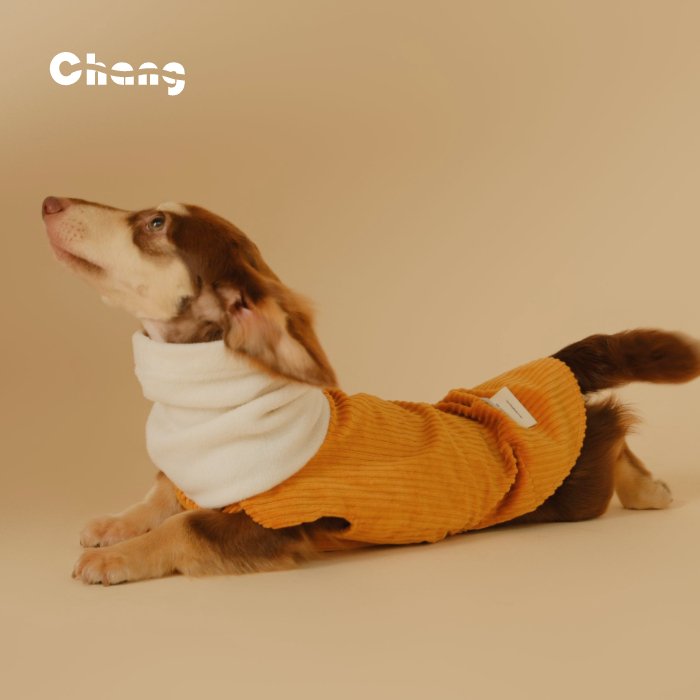 Dachshund Hoodie | OUTDOOR WORKWEAR HOODIE - Chang