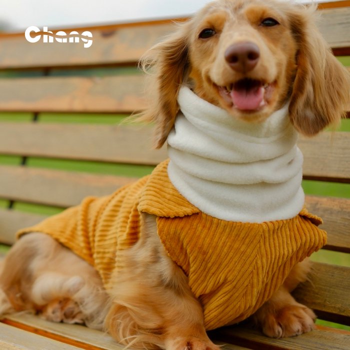 Dachshund Hoodie | OUTDOOR WORKWEAR HOODIE - Chang