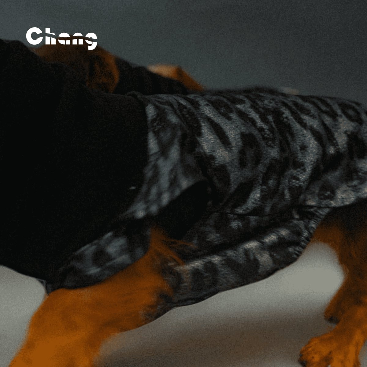 Dachshund Hoodie | OUTDOOR WORKWEAR HOODIE-JUNGLE DANCEFLOOR - Chang