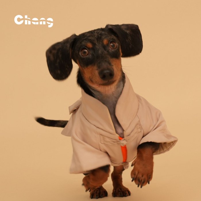 Dachshund Jacket | MASTER CHANG'S TANG-STYLE COTTON JACKET - Chang