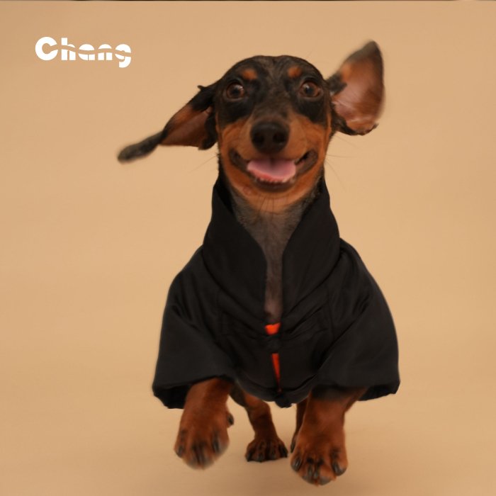 Dachshund Jacket | MASTER CHANG'S TANG-STYLE COTTON JACKET - Chang