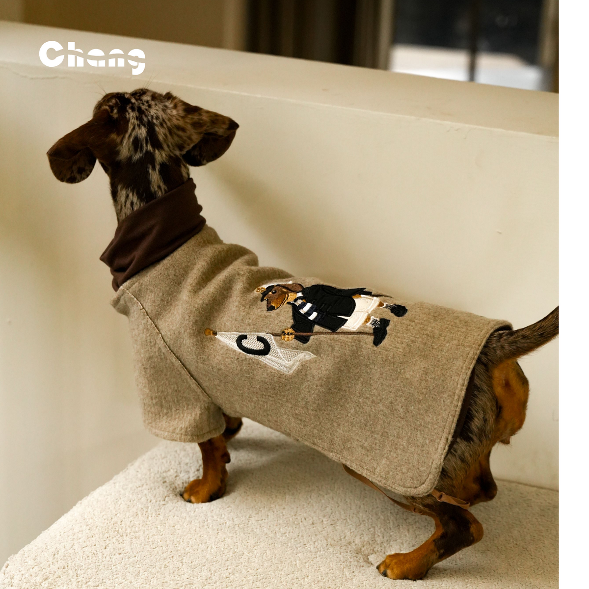 THE JIA BAOYU | Dachshund  KINT