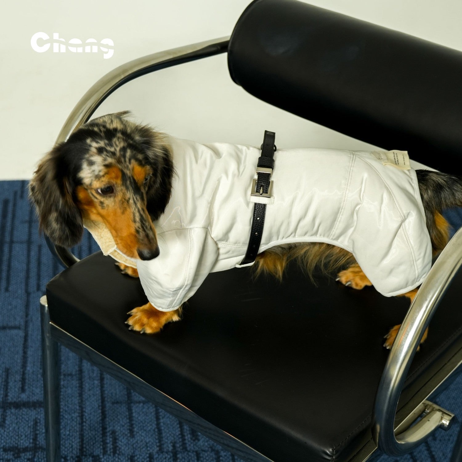 SNOW HUNTER COAT | Dachshund Coat | Chang 2024AW