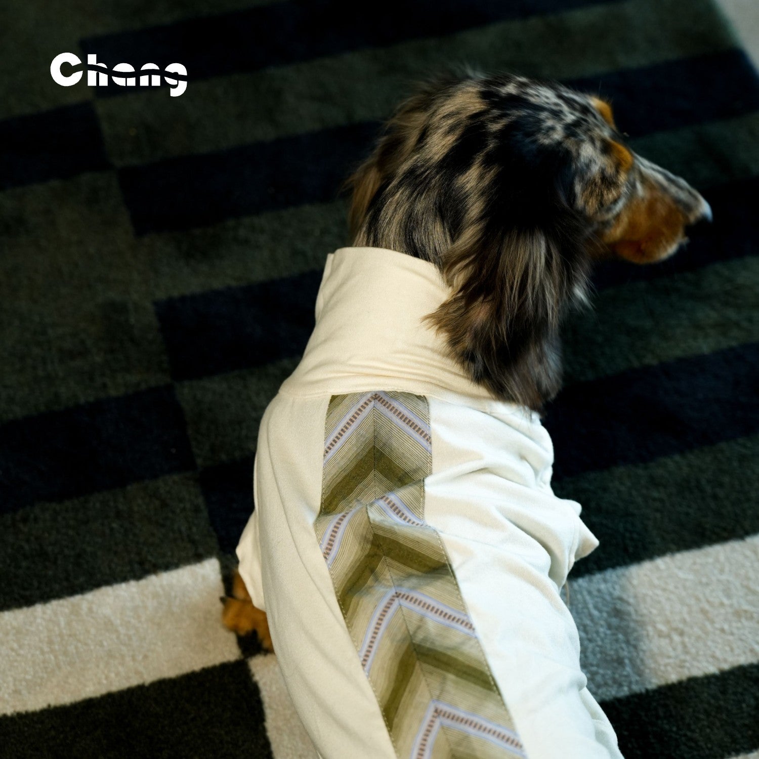 "MOM'S BABY" BASE LAYER  | Dachshund Base Layer  | Chang 2024AW