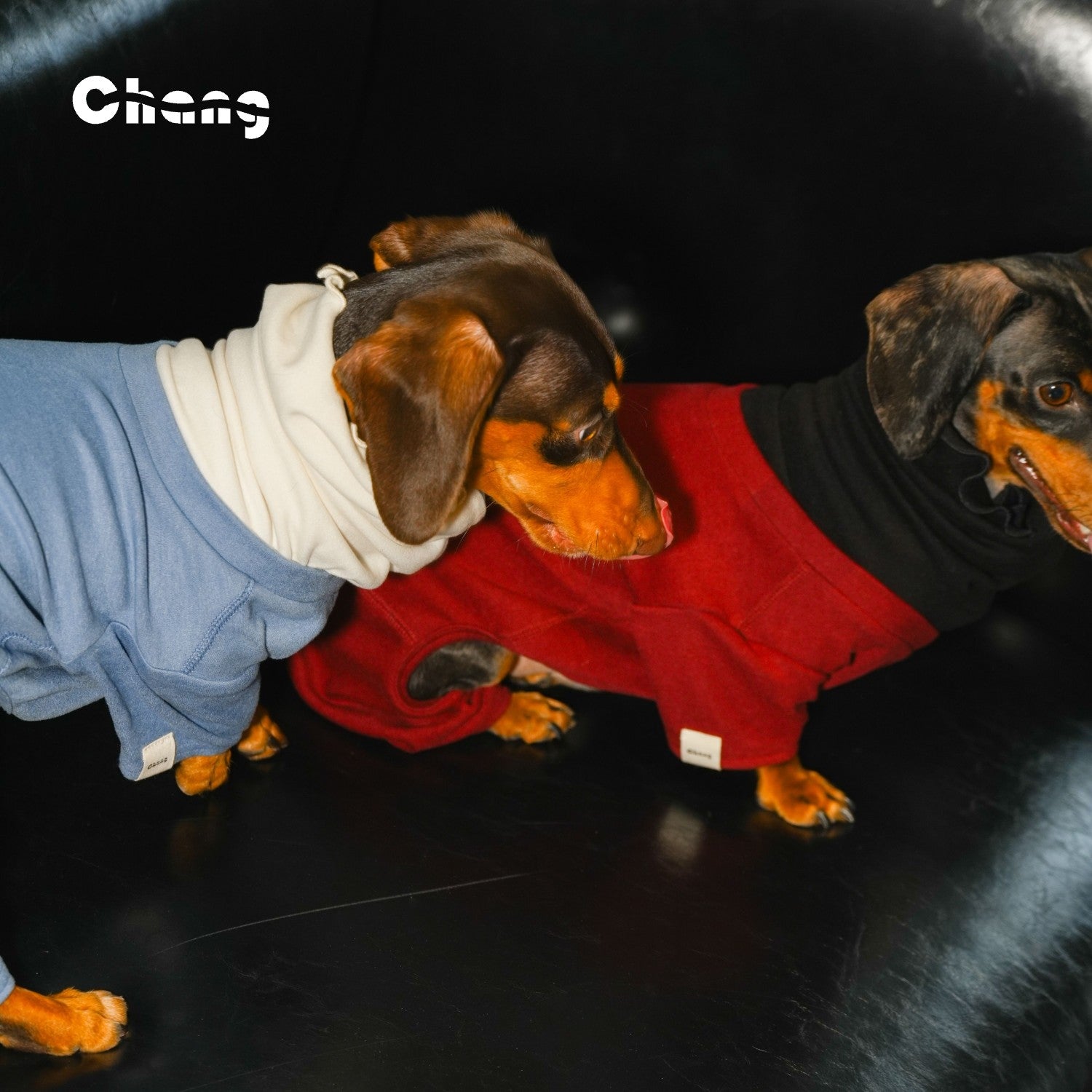 "MOM'S HAND" BASE LAYER 2.0 | Dachshund Base Layer | Chang 2024AW