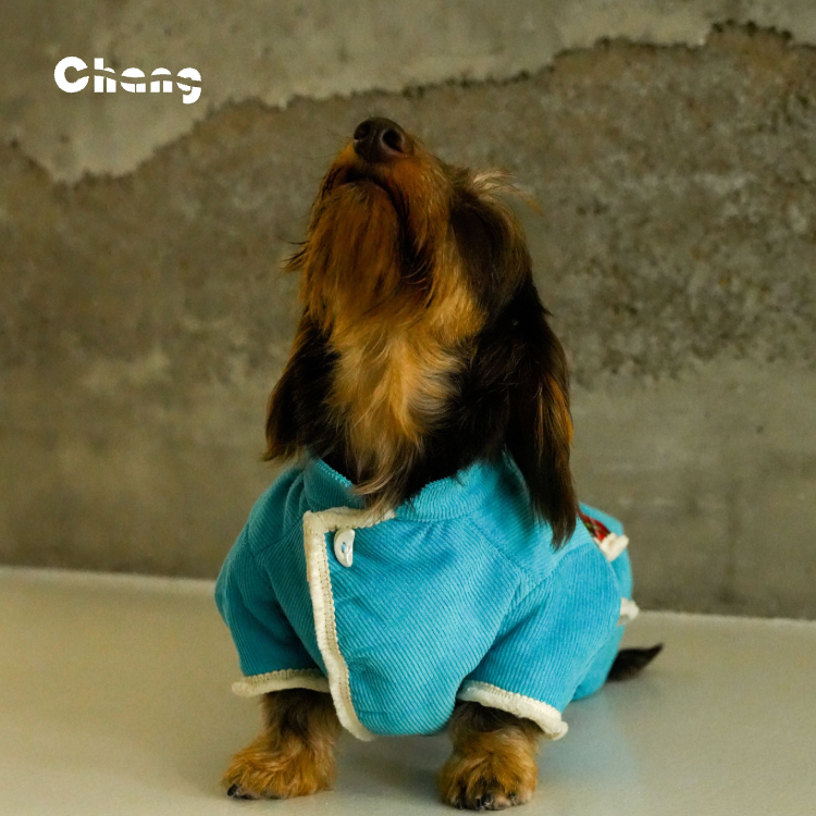 CLOUD HUNTER COAT | Dachshund Coat | Chang 2024AW