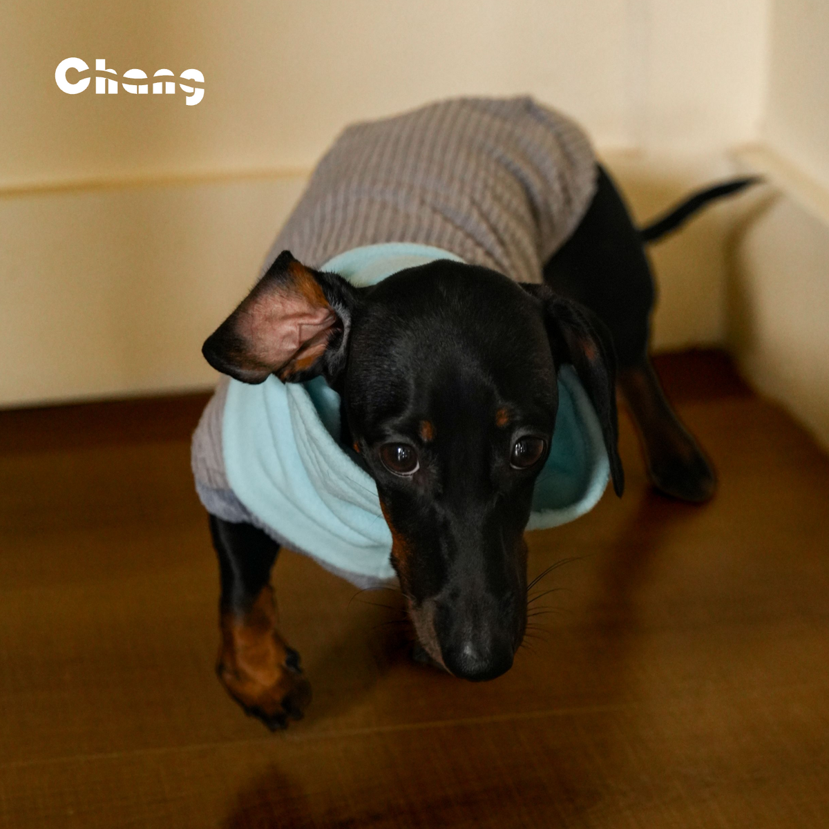 OUTDOOR WORKWEAR 2.0  | Dachshund HOODIE
