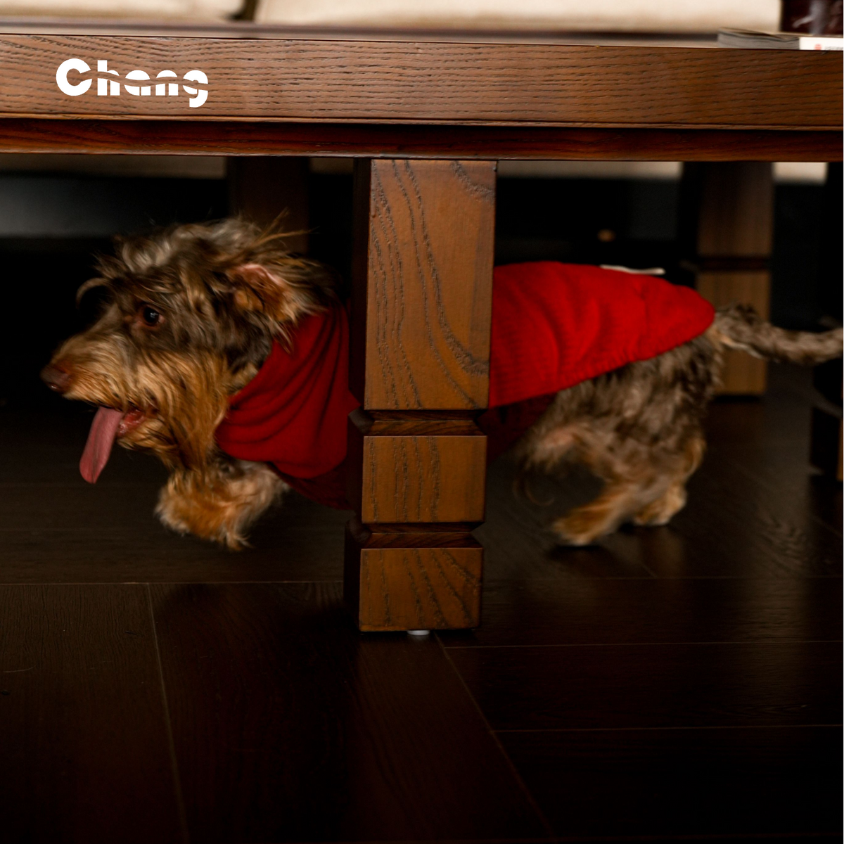 OUTDOOR WORKWEAR 2.0  | Dachshund HOODIE