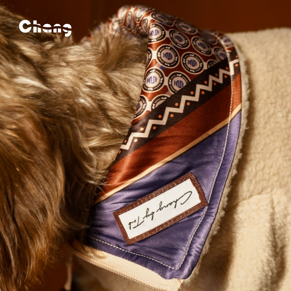 The Odyssey  | Dachshund  Hoodie