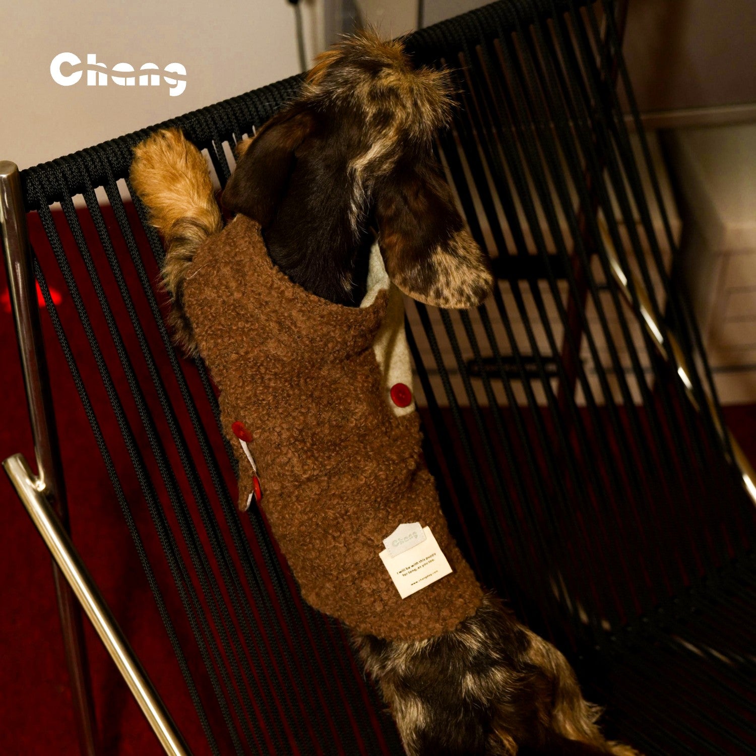 Professor's Vest  | Dachshund Vest | Chang 2024AW