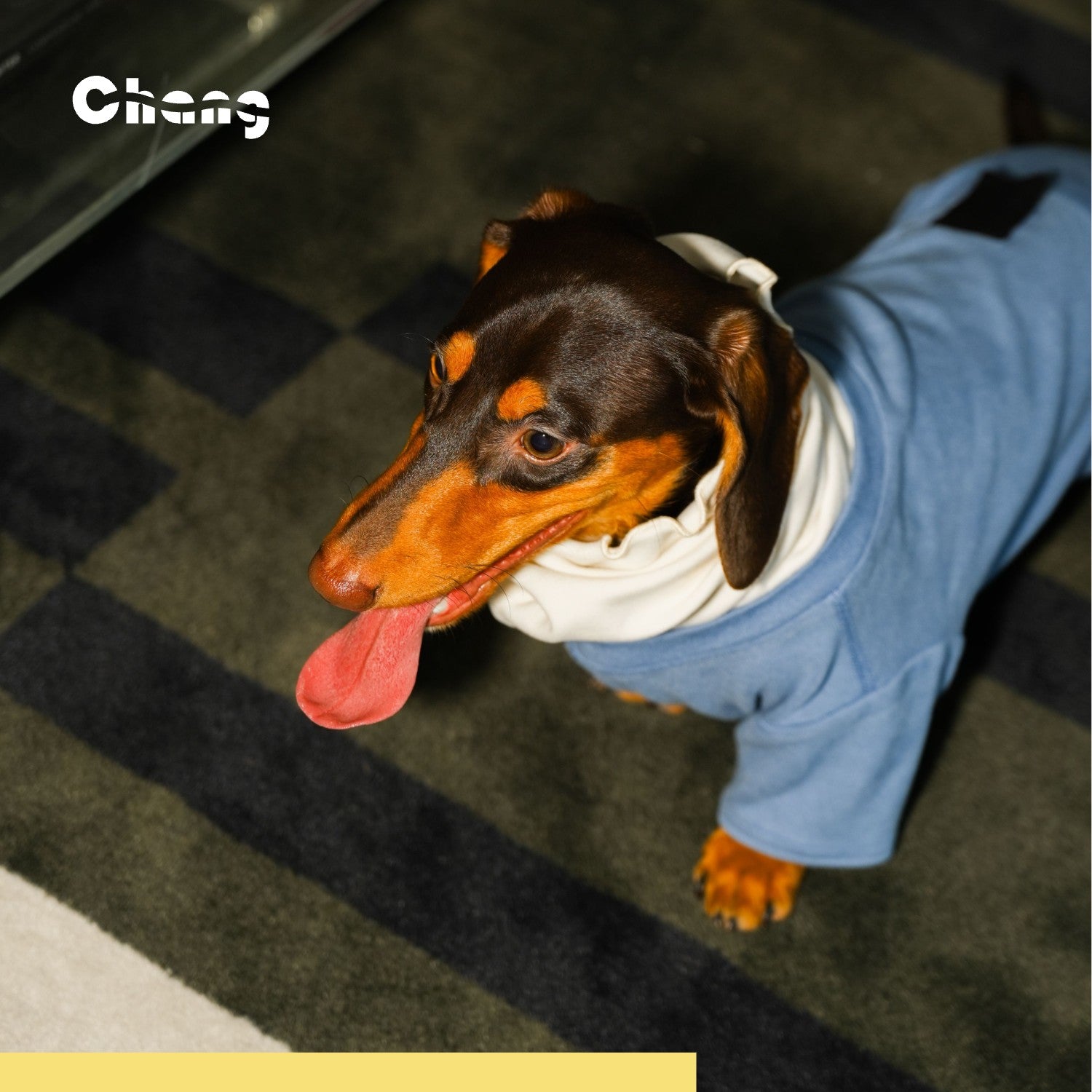 "MOM'S HAND" BASE LAYER 2.0 | Dachshund Base Layer | Chang 2024AW