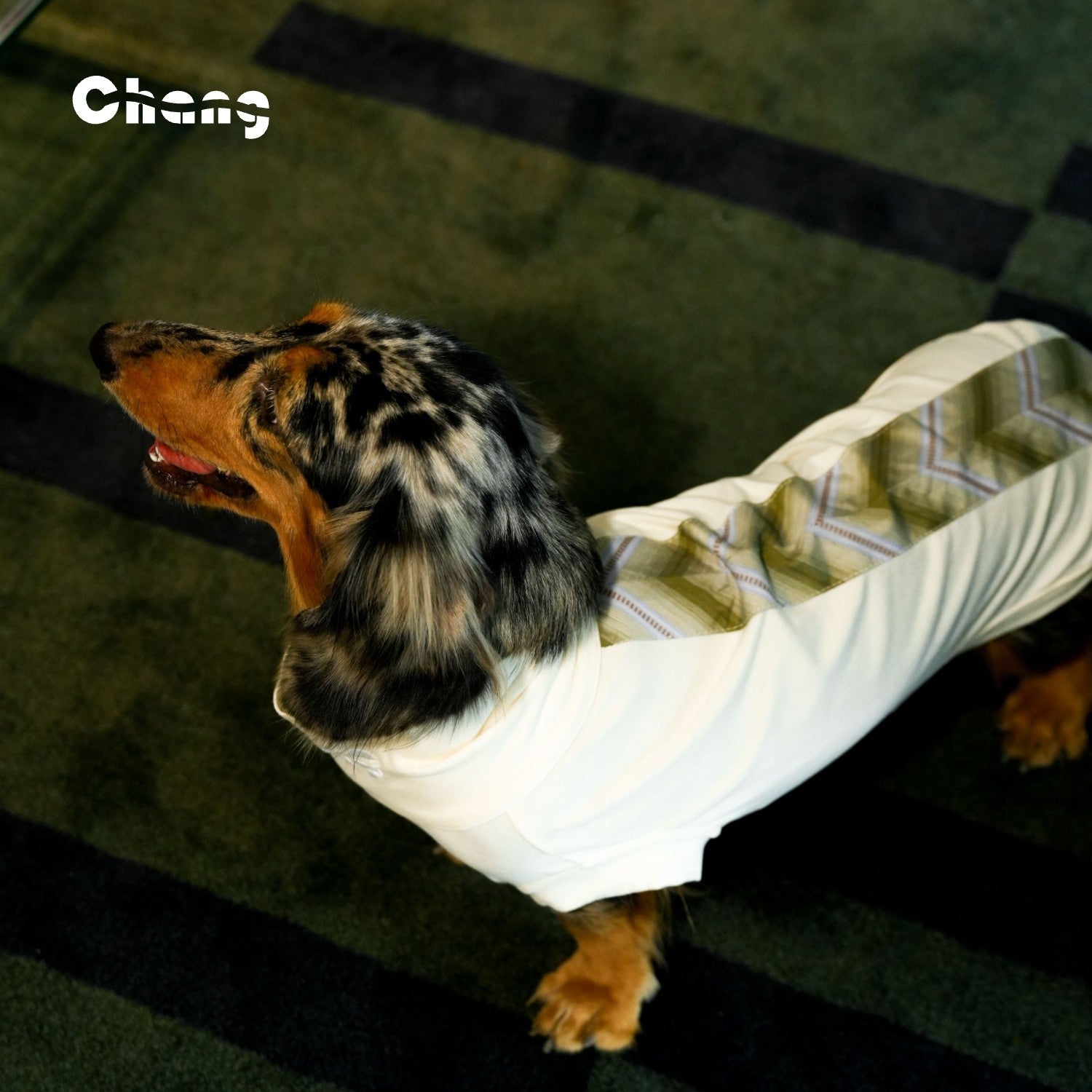 "MOM'S BABY" BASE LAYER  | Dachshund Base Layer  | Chang 2024AW