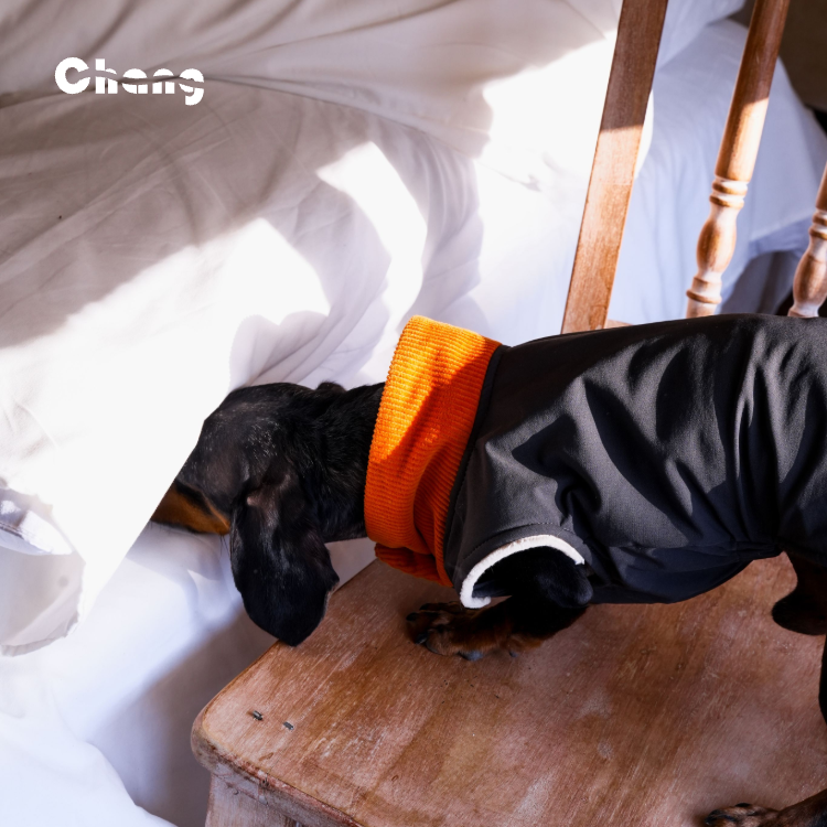 "MAPLE HILL" Outdoor Hoodie | Dachshund Hoodie | Chang 2025AW Dachshund Clothes