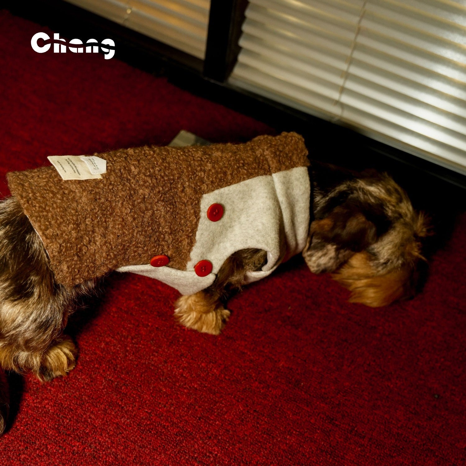 Professor's Vest  | Dachshund Vest | Chang 2024AW