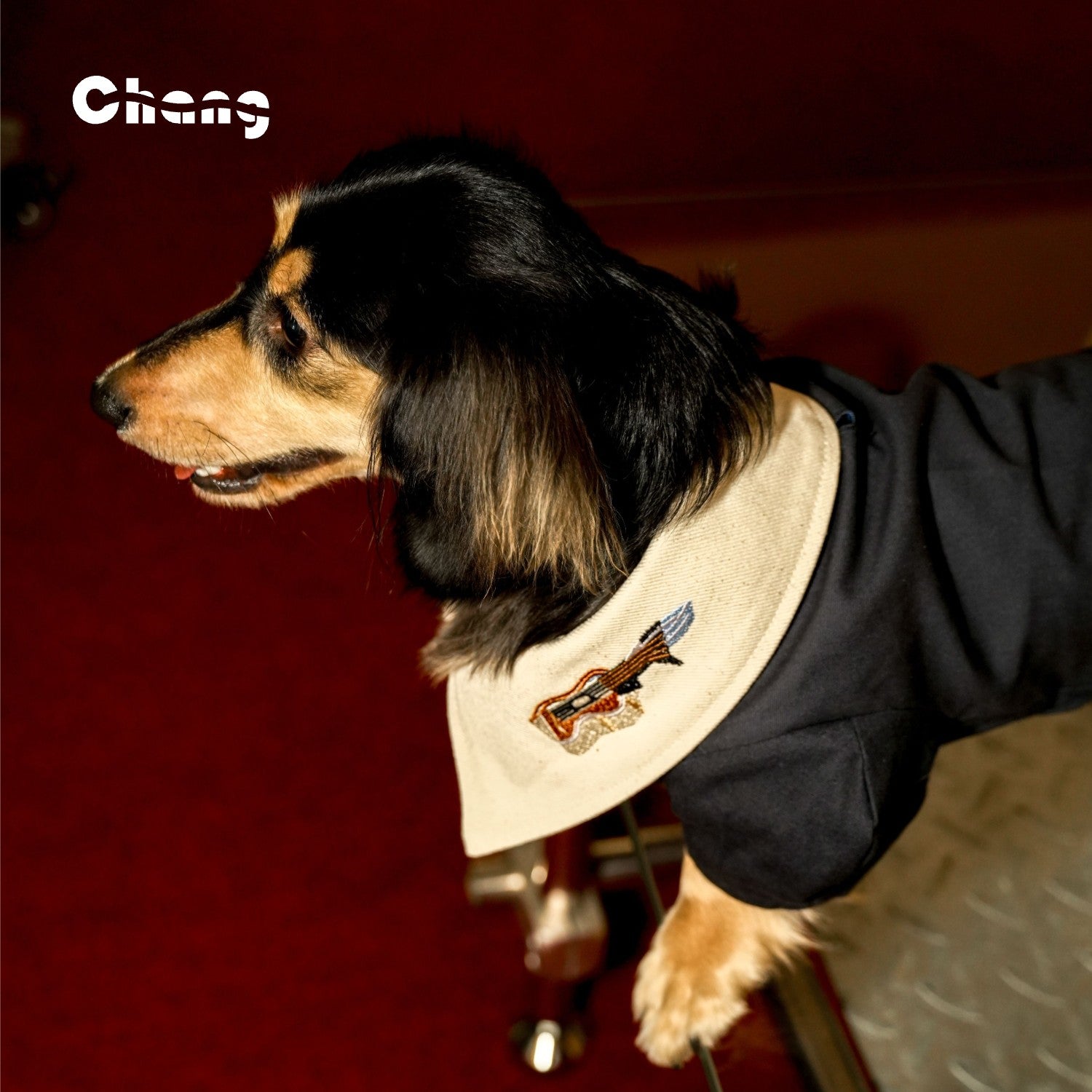 Narrative Jacket | Jacket for Dachshund | Chang 2024AW