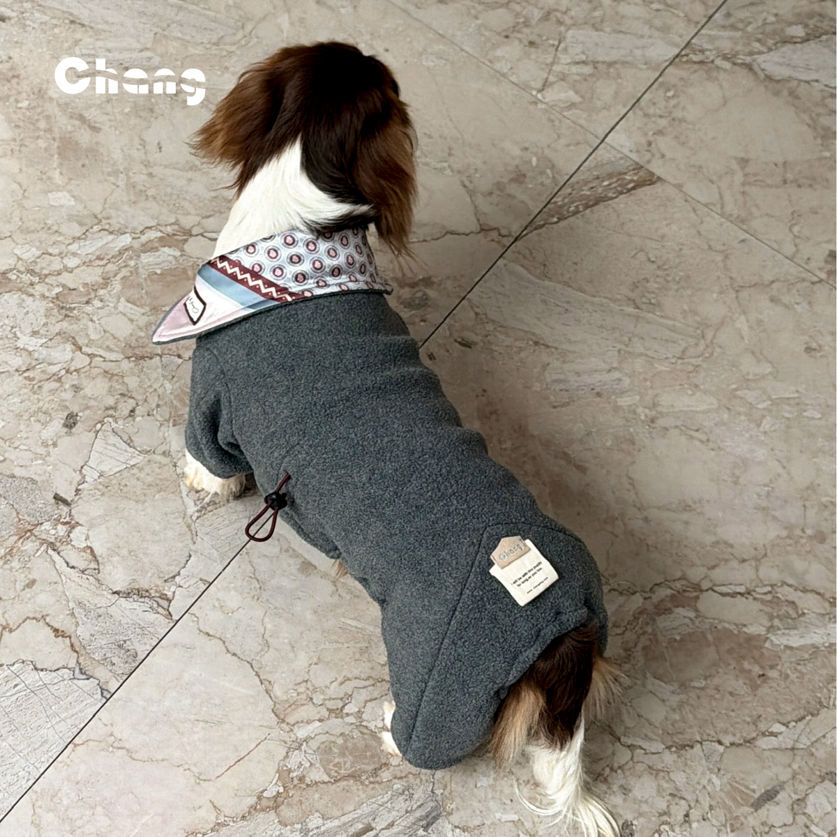 The Odyssey  | Dachshund  Hoodie