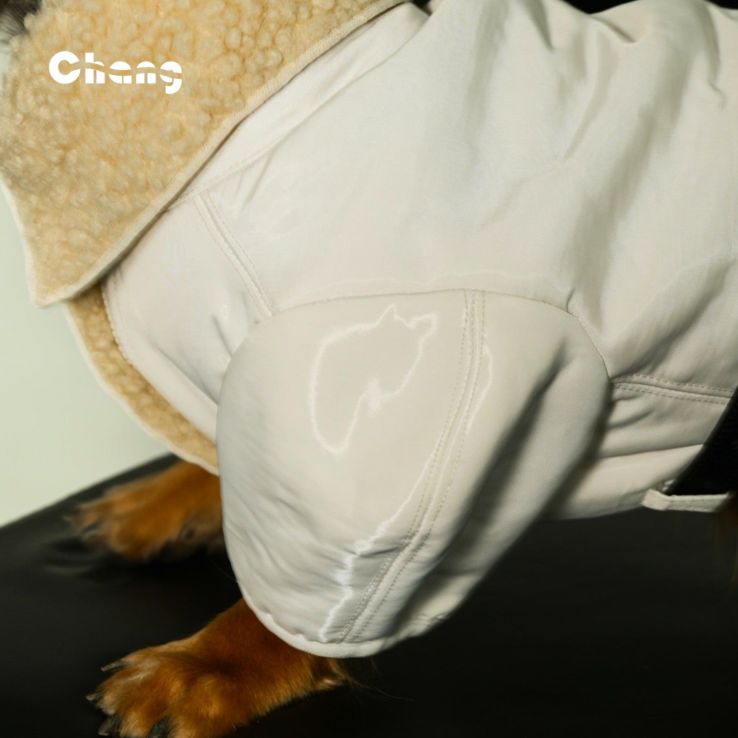 SNOW HUNTER COAT | Dachshund Coat | Chang 2024AW