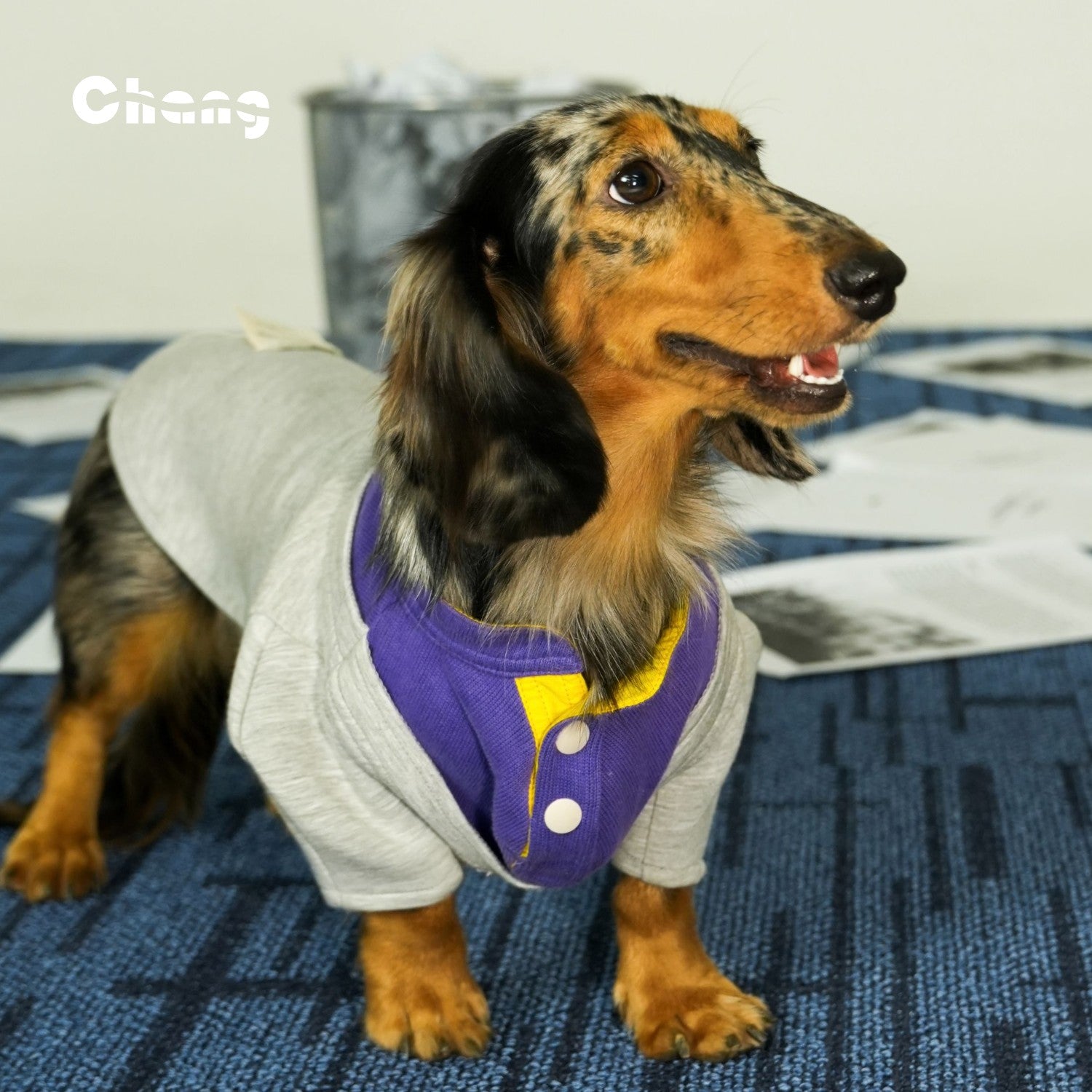 TENNIS YOUTH Hoodie | Dachshund Hoodie | Chang 2024AW