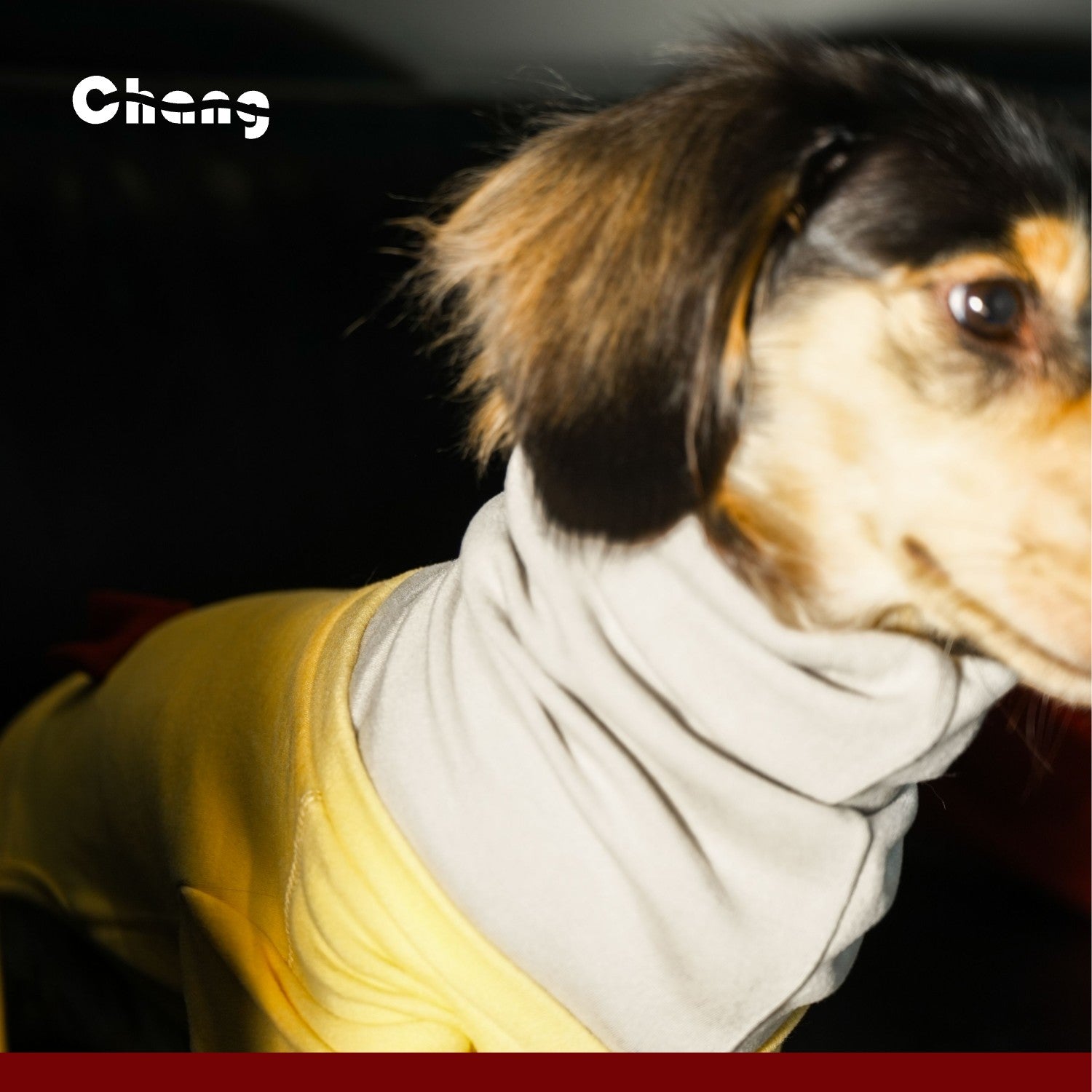 "MOM'S HAND" BASE LAYER 2.0 | Dachshund Base Layer | Chang 2024AW