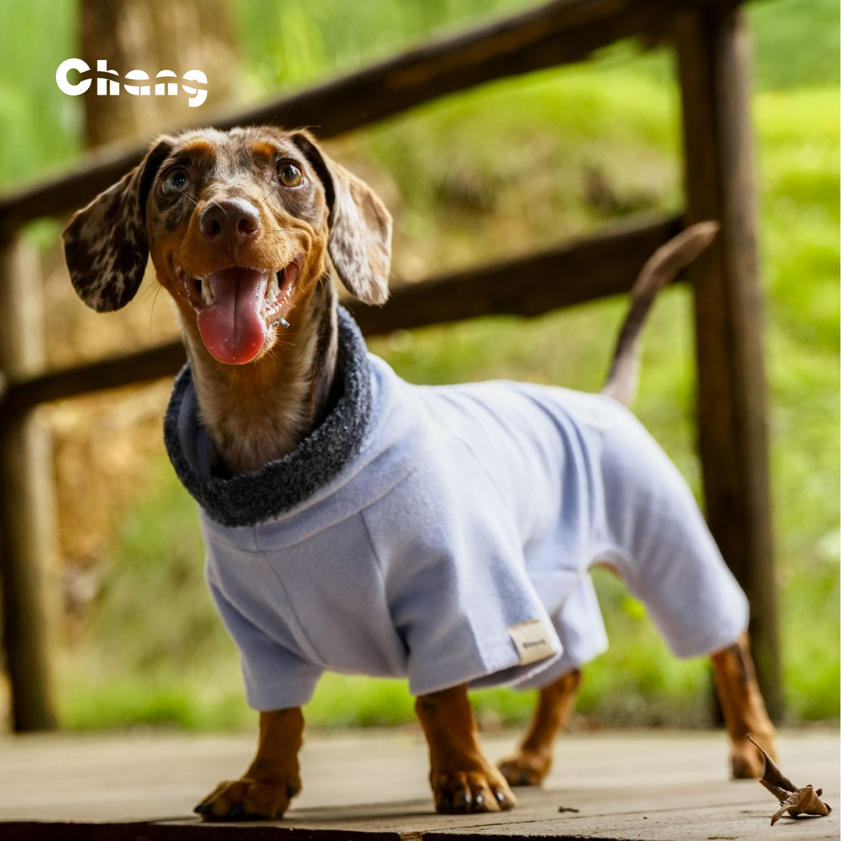 Silk Hand | Dachshund Base Layer