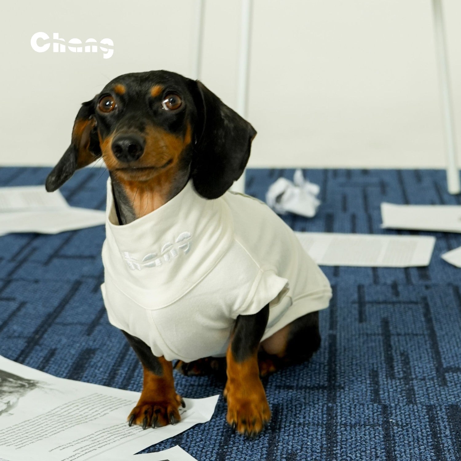 "MOM'S BABY" BASE LAYER  | Dachshund Base Layer  | Chang 2024AW