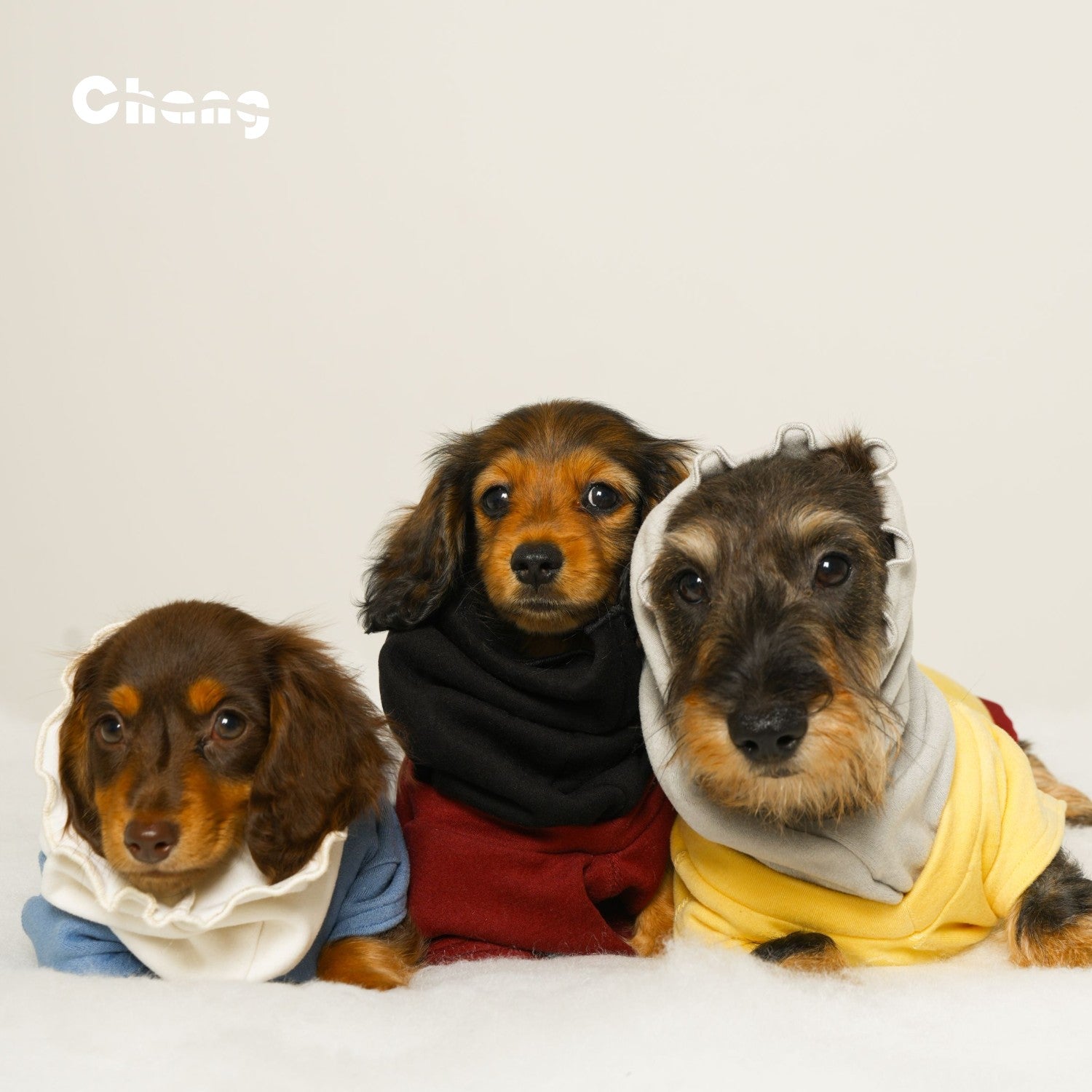 "MOM'S HAND" BASE LAYER 2.0 | Dachshund Base Layer | Chang 2024AW