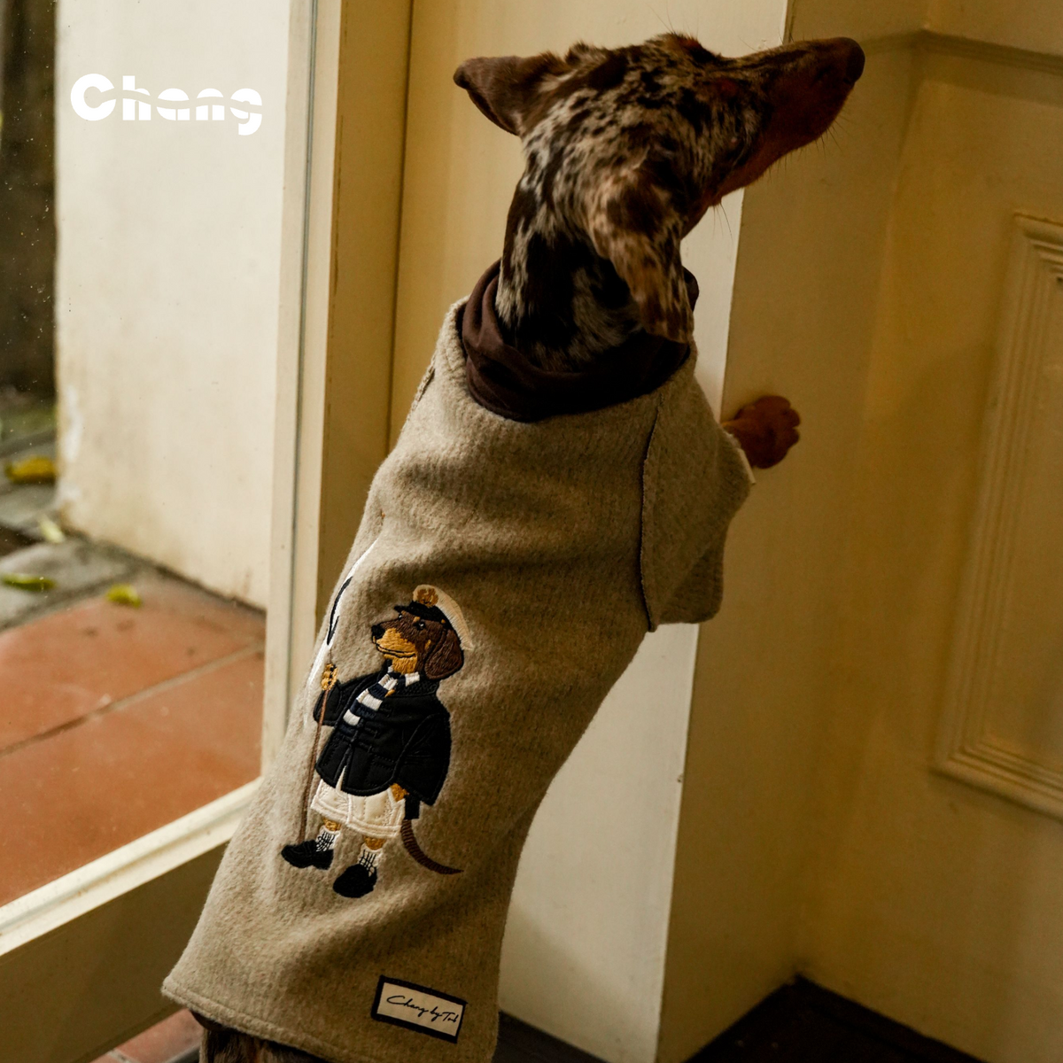 THE JIA BAOYU | Dachshund  KINT