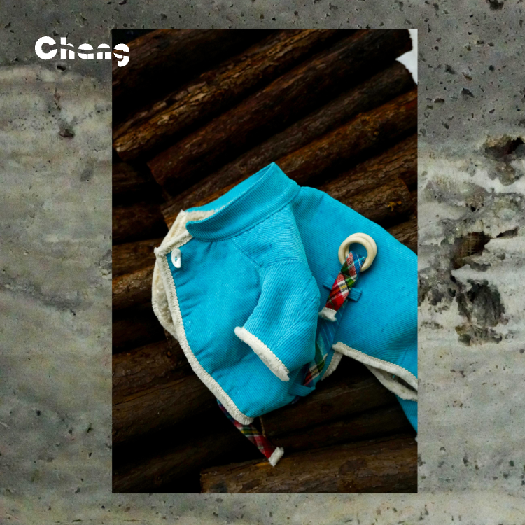 CLOUD HUNTER COAT | Dachshund Coat | Chang 2024AW